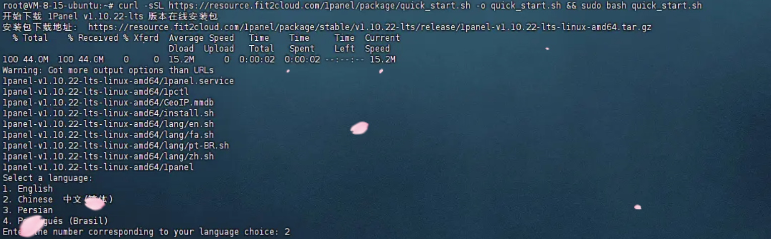 image-20250505024528772