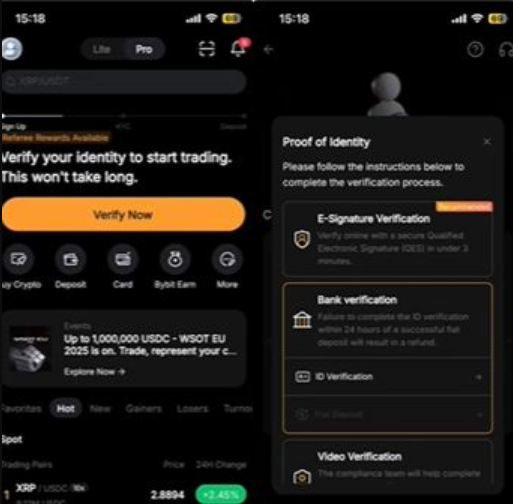 image-20251207015920899